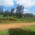 Picture of MONGARE MOKAYA JONATHAN MOKAYA